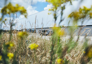 Pflanzen sind unscharf im Vordergrund zu sehen und dahinter das Gebäude der Bauck Mühle