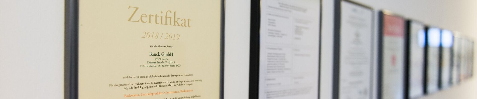 Zertifikate & Urkunden im Foyer an einer Wand aufgehängt 